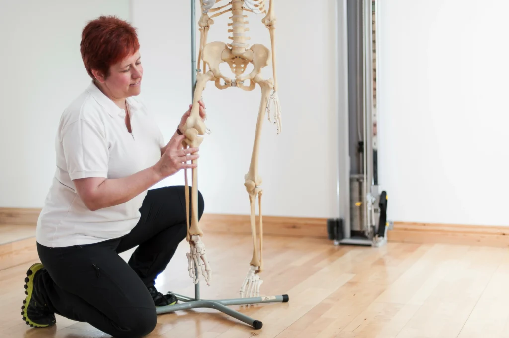 Healthcare professional demonstrating the connection between the hip and knee joints